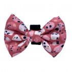 PRAZZOBOW